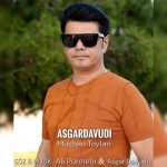 دانلود آهنگ ترکی عسگر داودی به نام مغان تویلاری