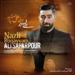 دانلود نوحه علی صفرپور به نام نازلی رقیه