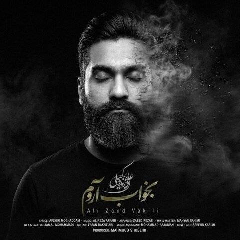 دانلود آهنگ علی زندوکیلی به نام بخواب آروم دانلود آهنگ علی زندوکیلی به نام بخواب آروم