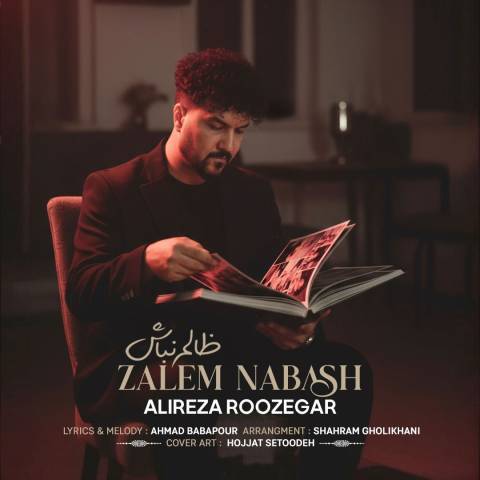 دانلود آهنگ علیرضا روزگار به نام ظالم نباش