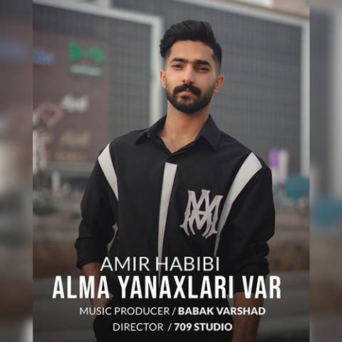 دانلود آهنگ ترکی امیر حبیبی به نام آلما یاناخلاری وار
