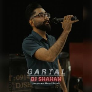 دانلود آهنگ ترکی دی جی شاهان به نام قارتال