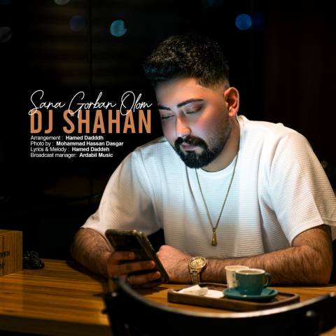 دانلود آهنگ ترکی دی جی شاهان به نام سنه قربان اولوم