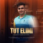 دانلود آهنگ ترکی مانی ابراهیمی به نام توت الیمی