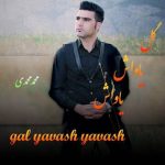 دانلود آهنگ ترکی محمد محمدی به نام گل یاواش یاواش