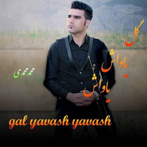 دانلود آهنگ ترکی محمد محمدی به نام گل یاواش یاواش