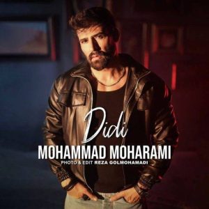 دانلود آهنگ محمد محرمی به نام دیدی