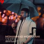 دانلود آهنگ ترکی محمد محرمی به نام یاغیش