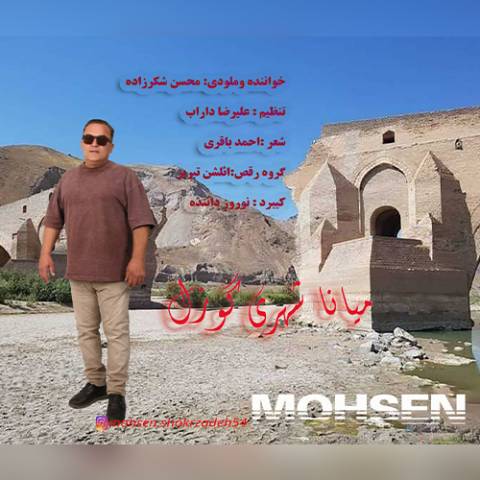 دانلود آهنگ ترکی محسن شکرزاده به نام میانه شهری گوزل