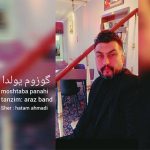 دانلود آهنگ ترکی مجتبی پناهی الوار به نام گوزوم یولدا