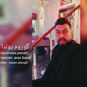 دانلود آهنگ ترکی مجتبی پناهی الوار به نام گوزوم یولدا