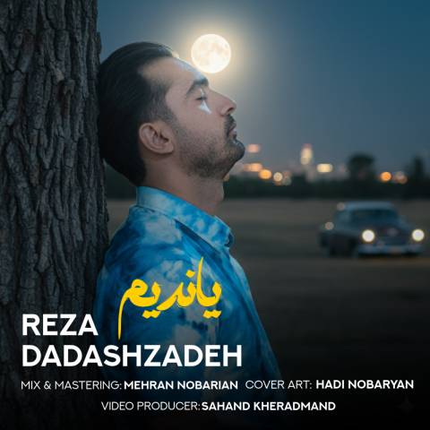 دانلود آهنگ ترکی رضا داداش زاده به نام یاندیم