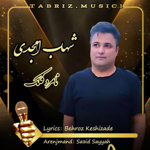 دانلود آهنگ ترکی شهاب امجدی به نام نامرد فلک