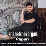 دانلود آهنگ ترکی شهاب بزرگان به نام پاوری
