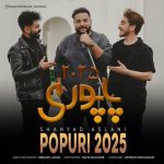 دانلود آهنگ ترکی شهیاد اصلانی به نام پاپوری 2025