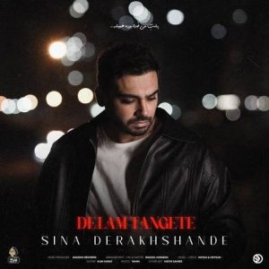 دلم تنگته - سینا درخشنده